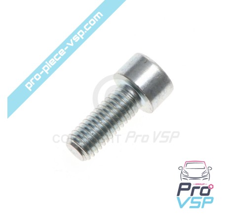 Vis de couvercle de thermostat pour moteur Lombardini Focs Progress 502 523