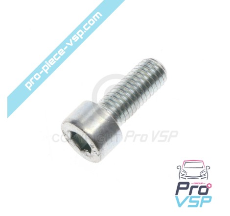 Vis de couvercle de thermostat pour moteur Lombardini Focs Progress 502 523