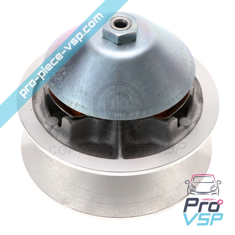 Variable motor