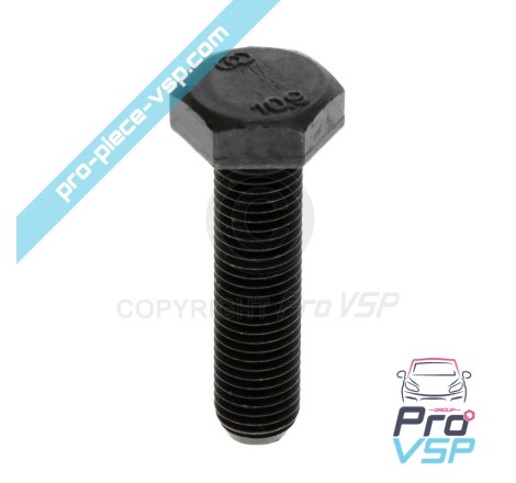 Vis de support cônique de variateur moteur lombardini