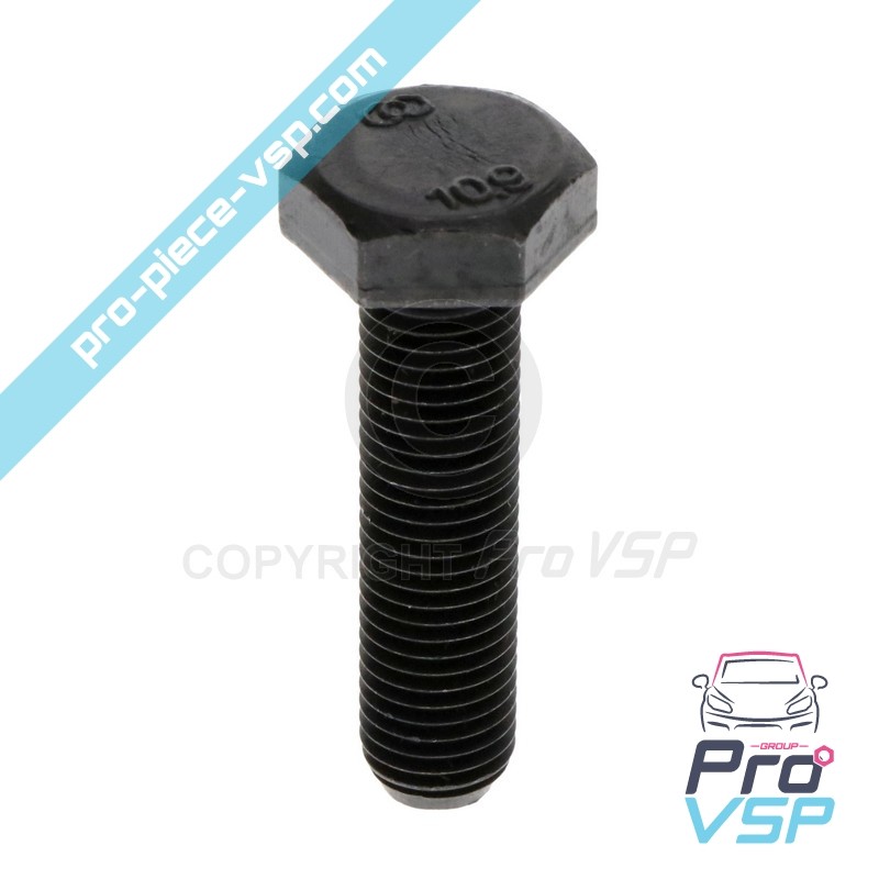Vis de support cônique de variateur moteur lombardini