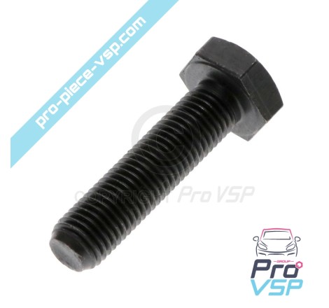 Vis de support cônique de variateur moteur lombardini
