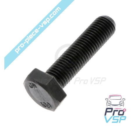 Vis de support cônique de variateur moteur lombardini