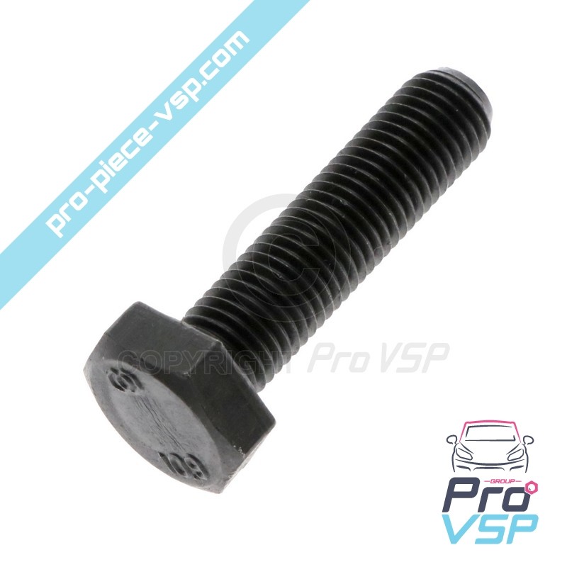 Vis de volant moteur