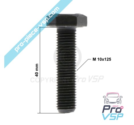 Vis de support cônique de variateur moteur lombardini