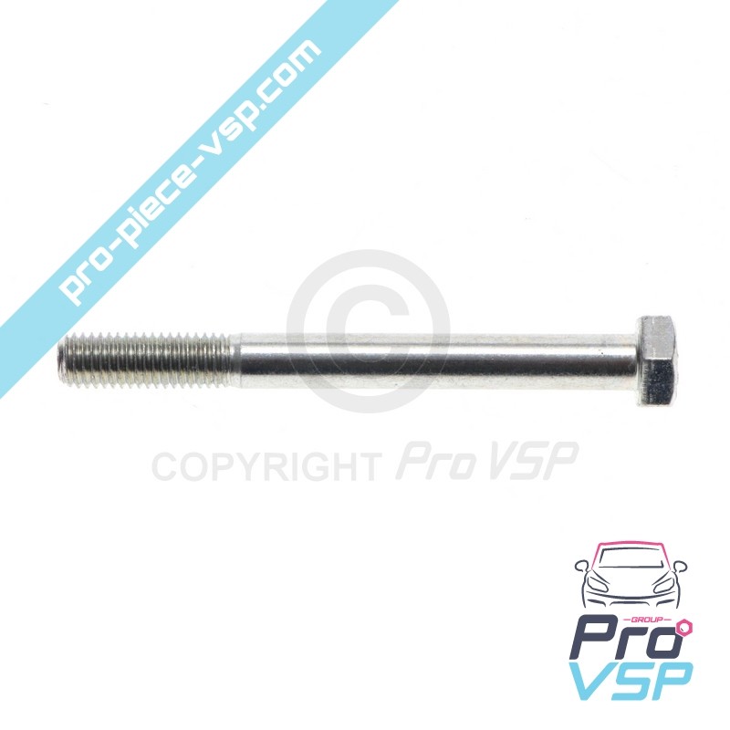 Door hinge screw