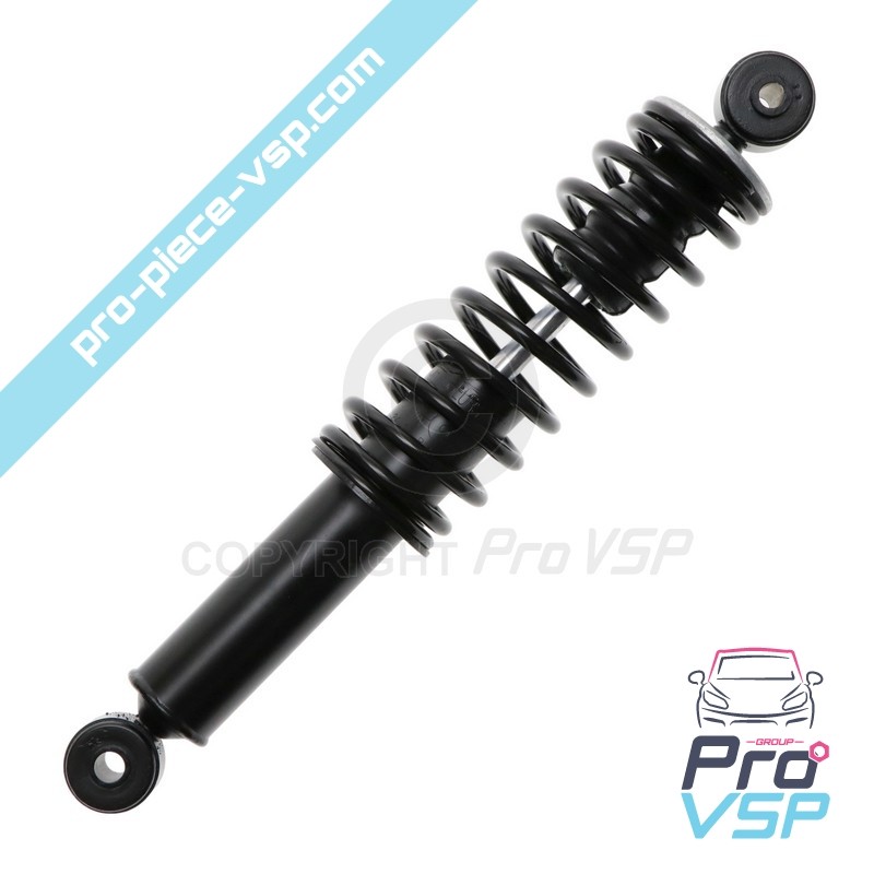 Back shock absorber