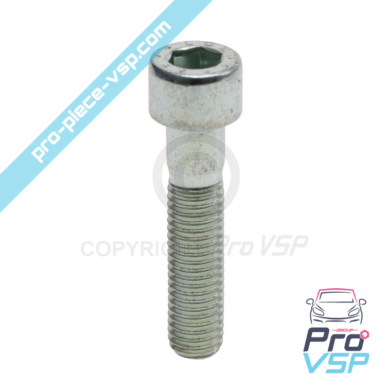 Vis de support moteur pour moteur Lombardini DCI