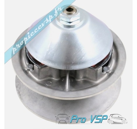 Variateur moteur origine pour moteur Lombardini Essence