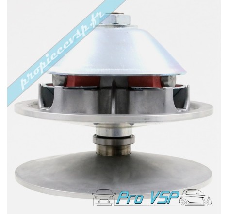 Variateur moteur origine pour moteur Lombardini Essence