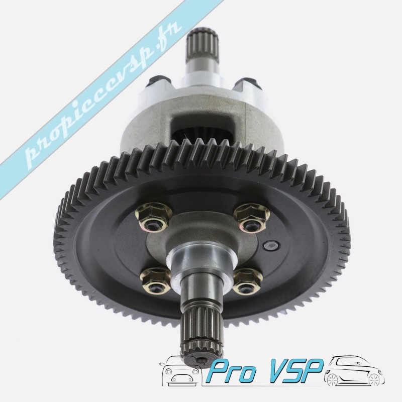 Differential 1/11
