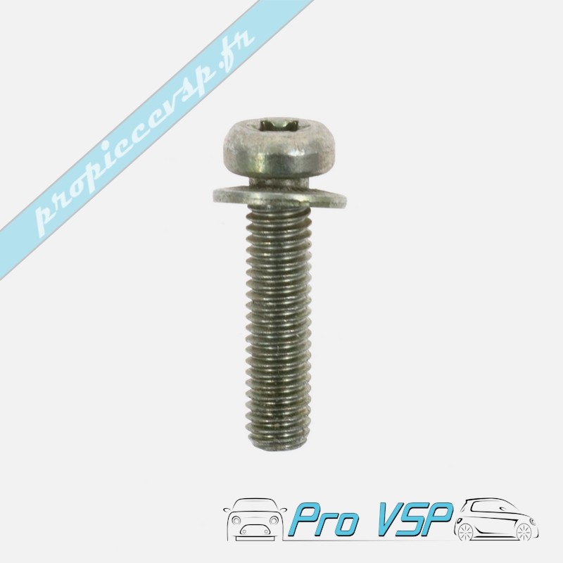 Vis torx