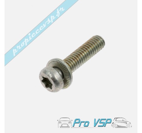 Vis torx