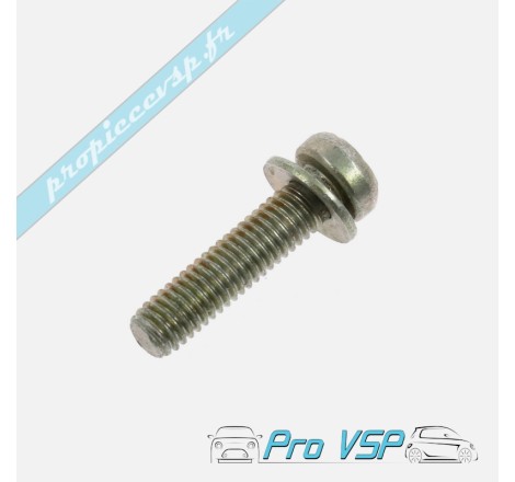 Vis torx