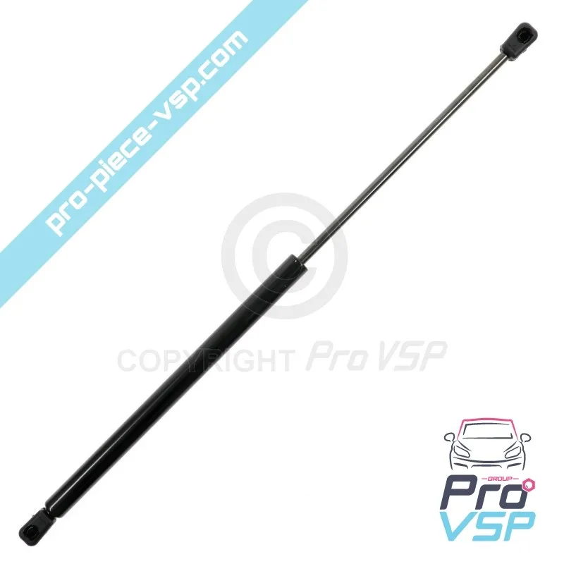 Verin de hayon pour Ligier Xtoo 1 2 Max R RS S Optimax Microcar Cargo