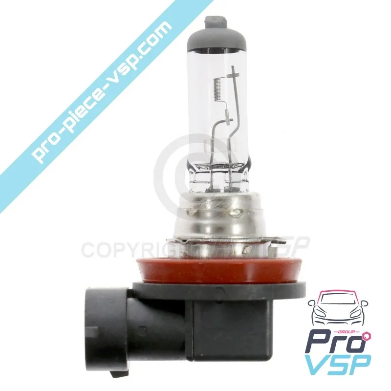 Lampadina H11