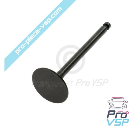 Intake valve