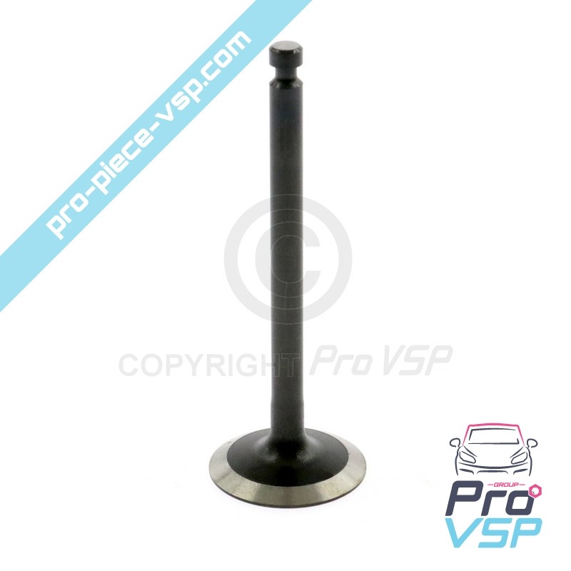 Intake valve