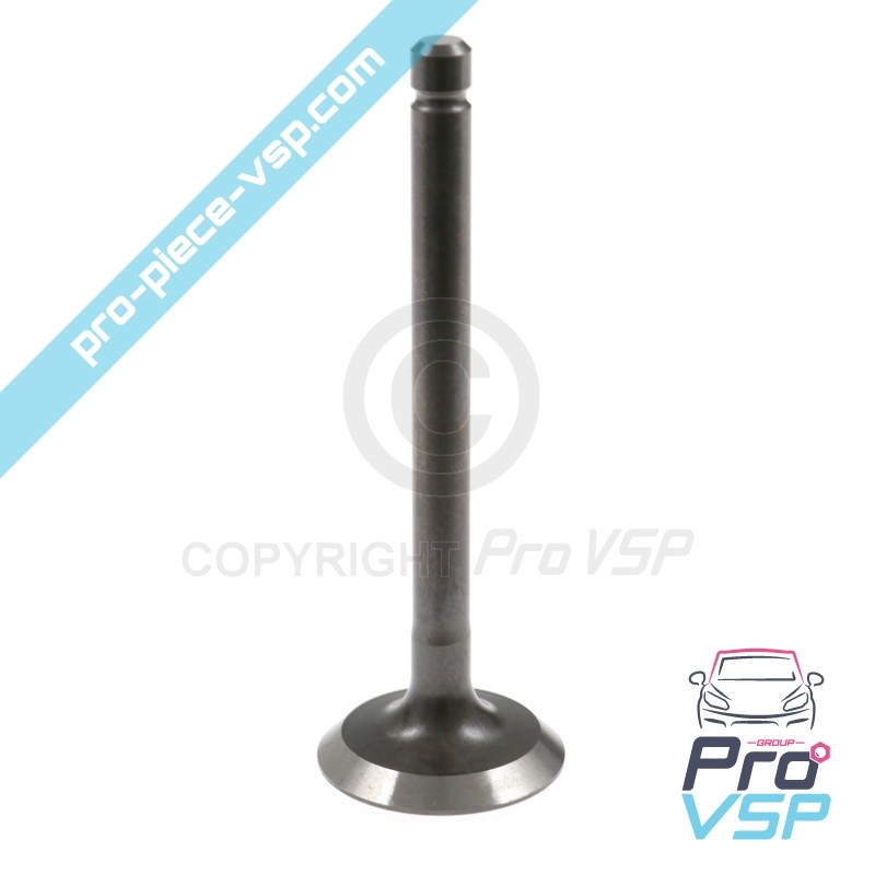 Intake valve