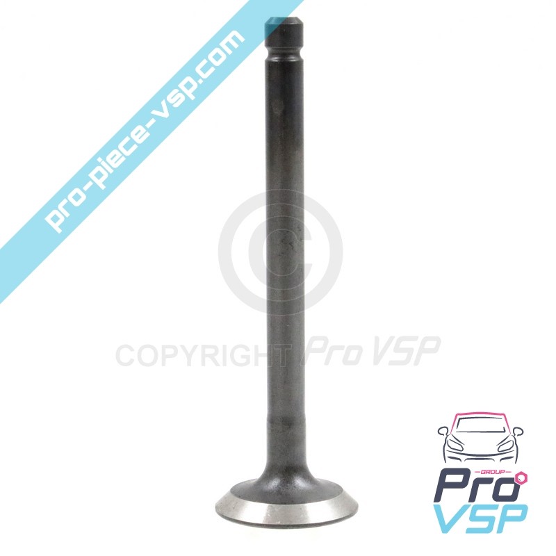 Exhaust valve