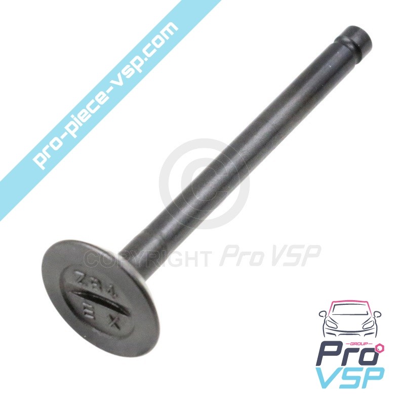 Exhaust valve