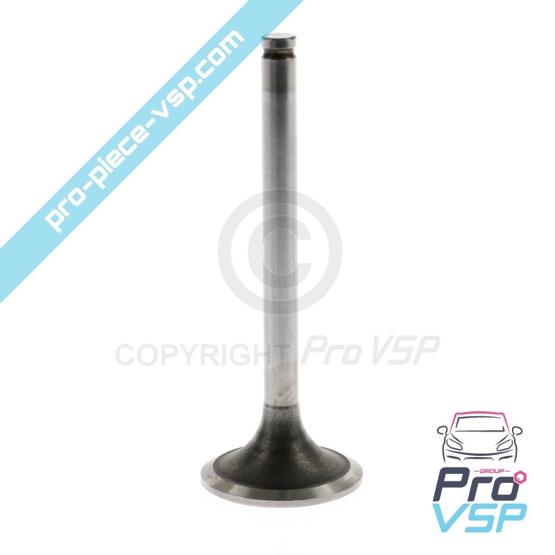 Intake valve