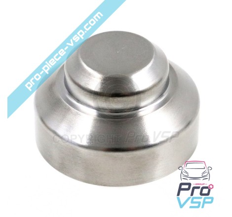 Masse de variateur 175g