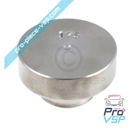 Masse de variateur 175g