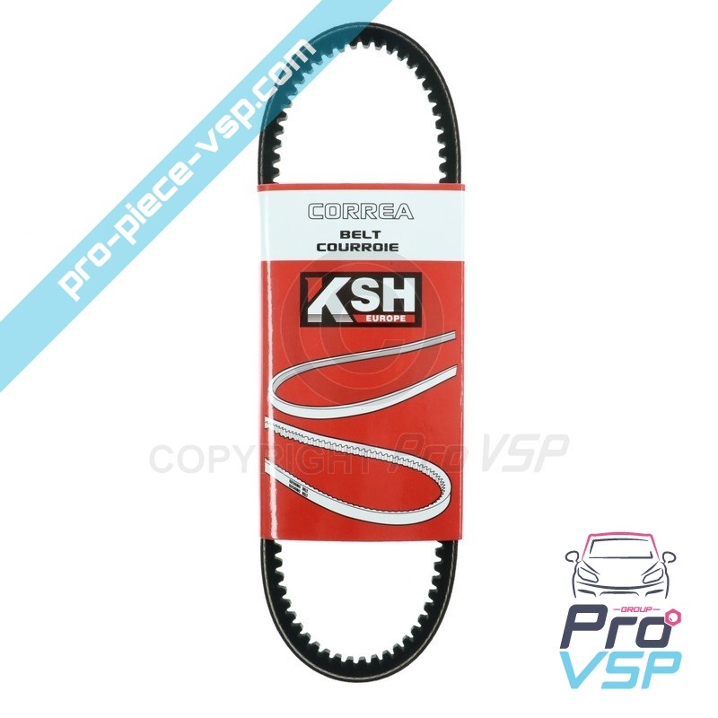 Courroie d'alternateur adaptable pour Ligier Xtoo 1 2 Max