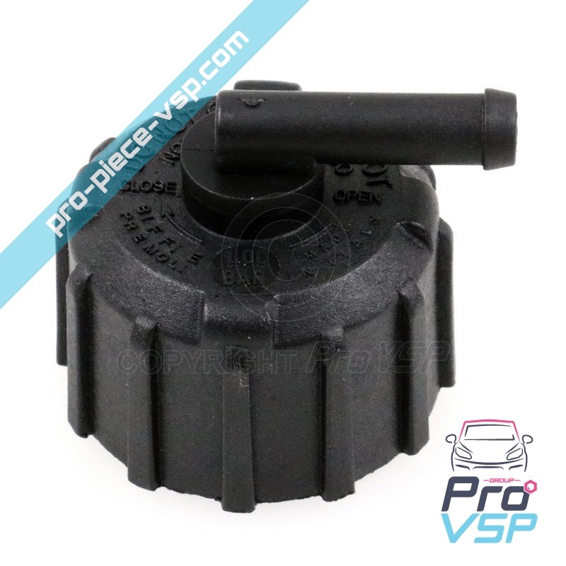 Radiator cap