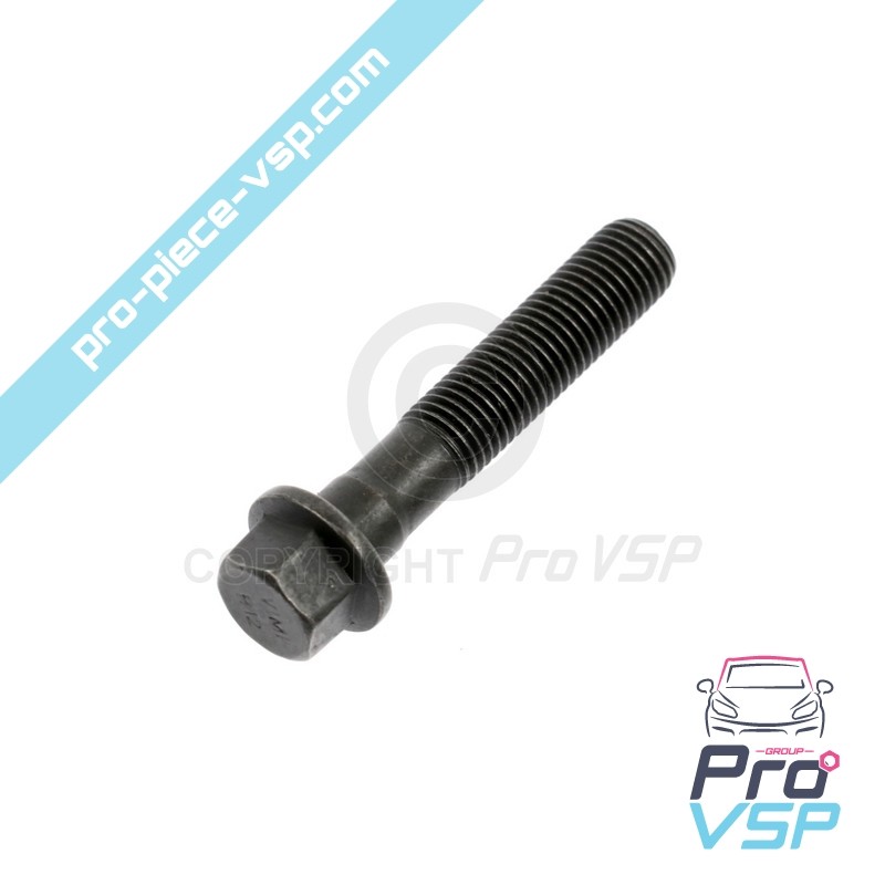 Tornillo de biela