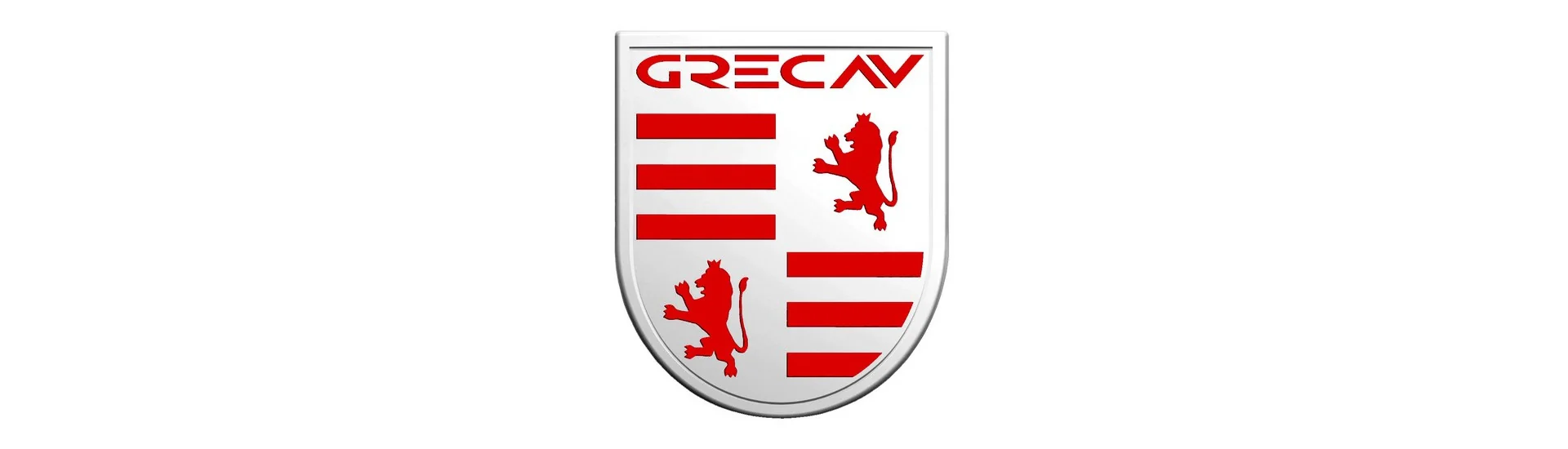 Bodywork al miglior prezzo per auto senza permesso Grecav