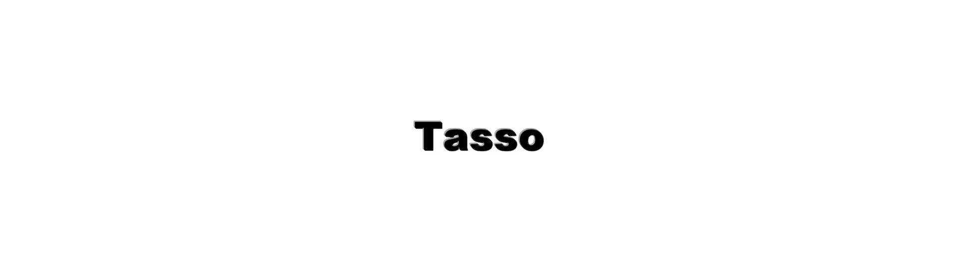 Bodywork at the best price for car without a permit Tasso