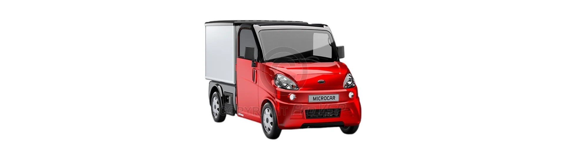 Caroseria la cel mai bun preț pentru o mașină fără permis Microcar Flex