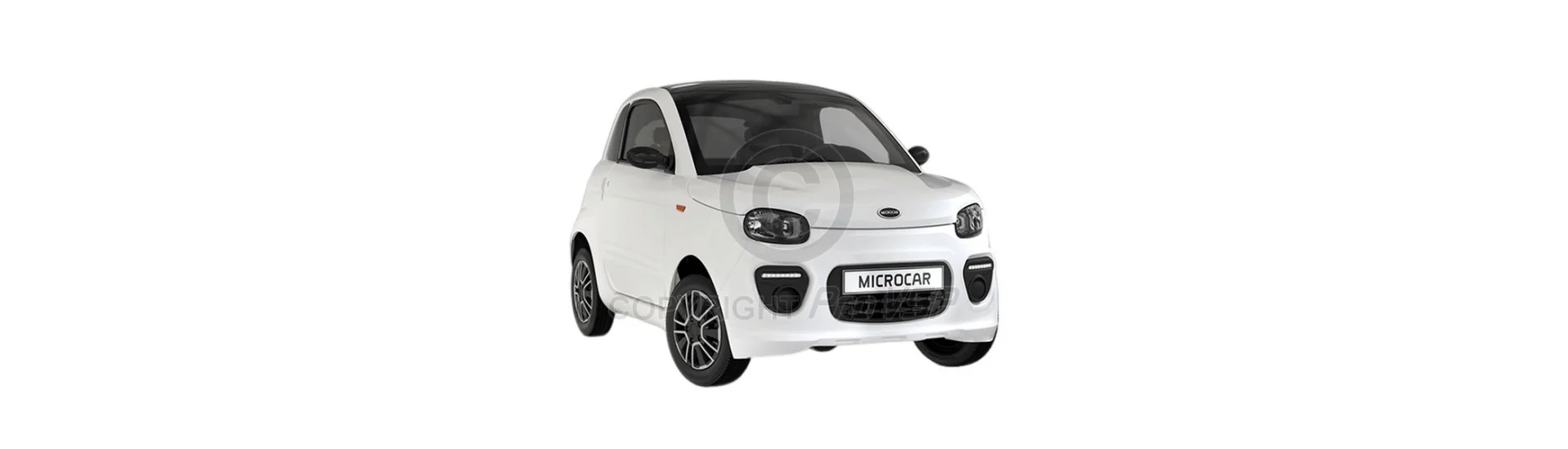 Caroseria la cel mai bun preț pentru o mașină fără permis Microcar Dué 6