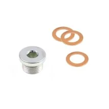 Plug and drain nivelet