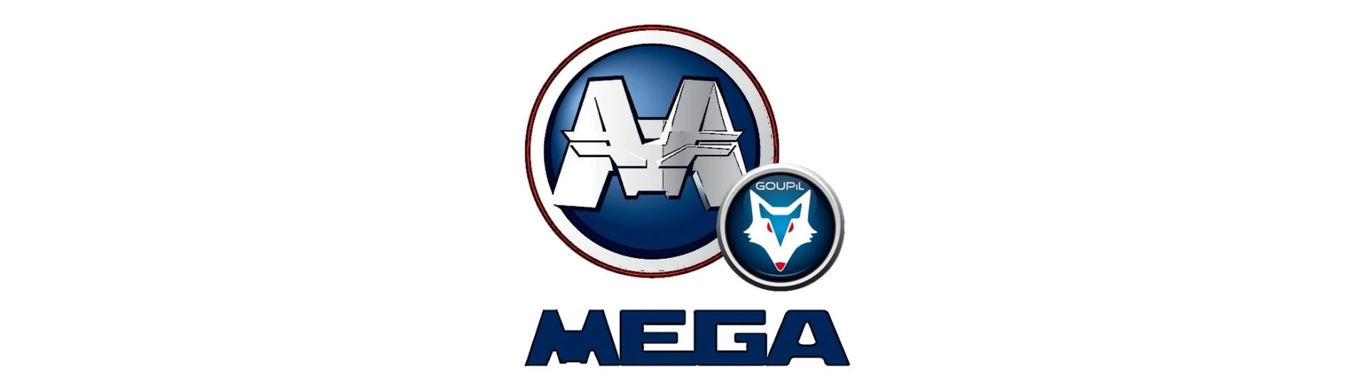 Door window at the best price for car without a permit Mega Goupil