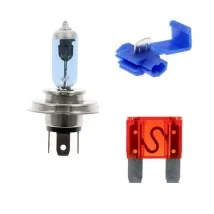 Lampadine e fusibili