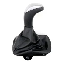 Reverse lever